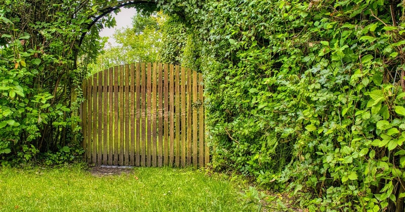 Portail francais : le guide ultime pour tout comprendre enfin
