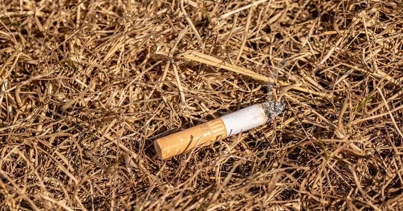 Risques spécifiques : chimique, incendie, électrique