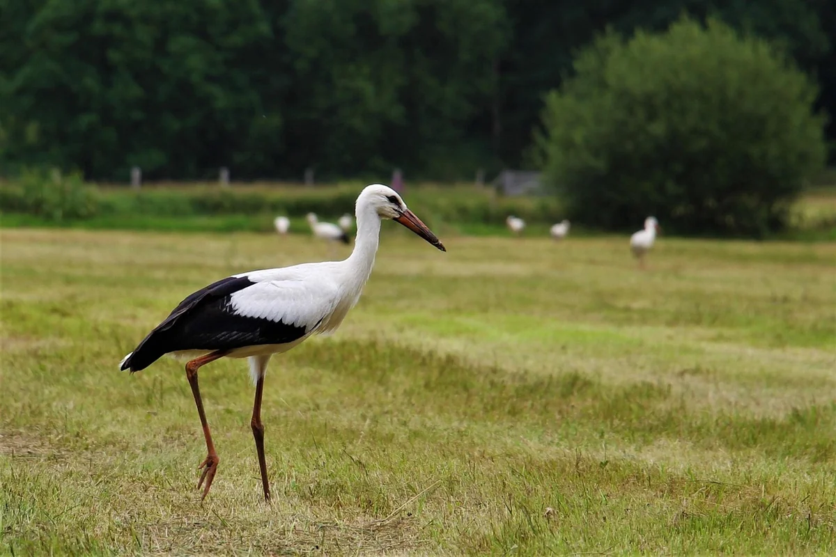Comment définir une stratégie de croissance adaptée à votre secteur d’activité ?