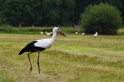 Comment définir une stratégie de croissance adaptée à votre secteur d’activité ?